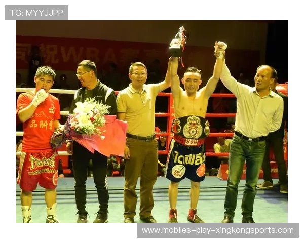 世界拳击协会调查假拳案:金额超千万美元 世界拳击协会调查假拳案:金额超千万美元